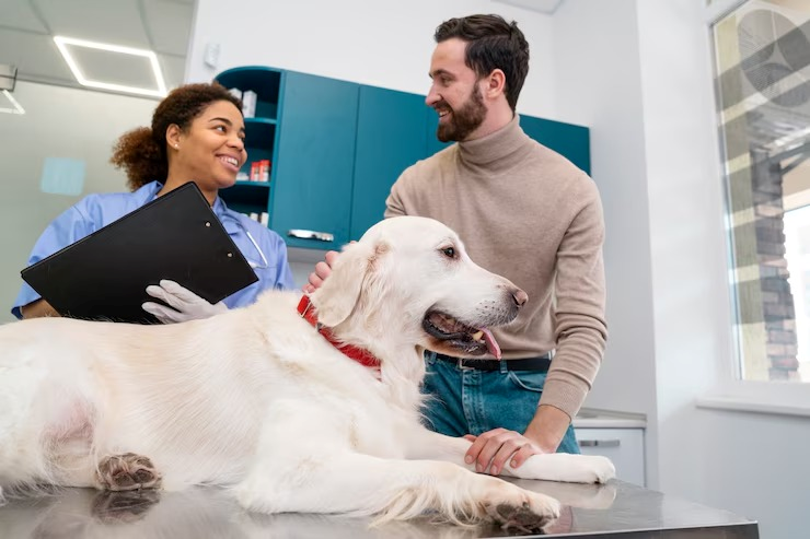 Cardiologia veterinária