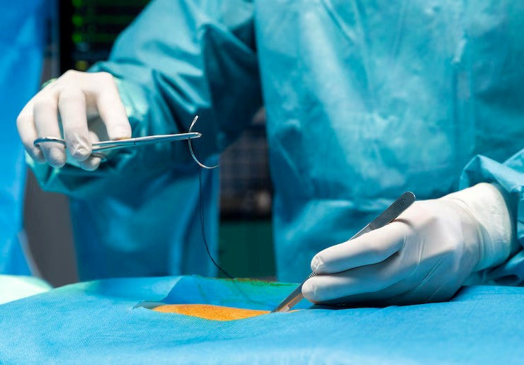 Imagem ilustrativa de Cirurgia em animais