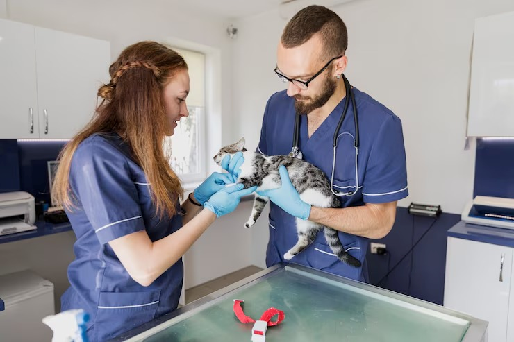 Consulta veterinária no centro de Salvador