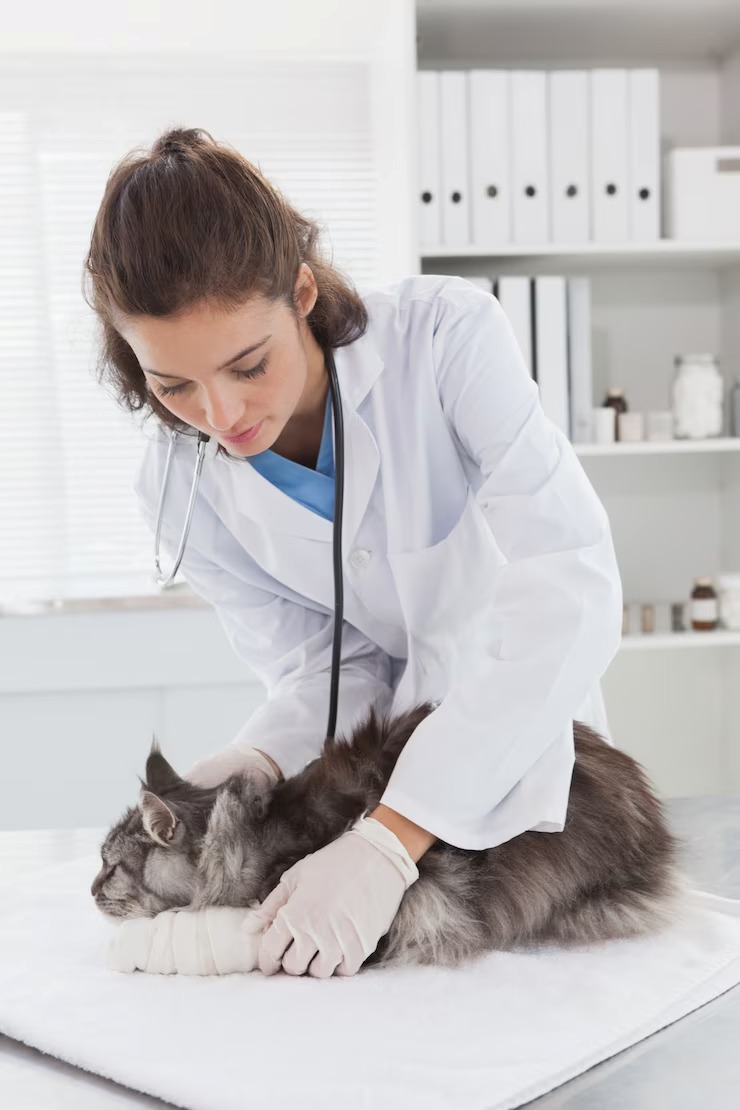 Exame toxicológico veterinario