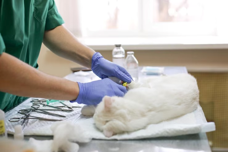 Laboratório de análises clínicas veterinária no centro de Salvador
