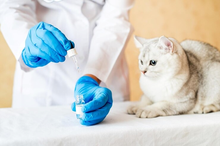 Laboratório veterinário perto de mim no centro de Salvador
